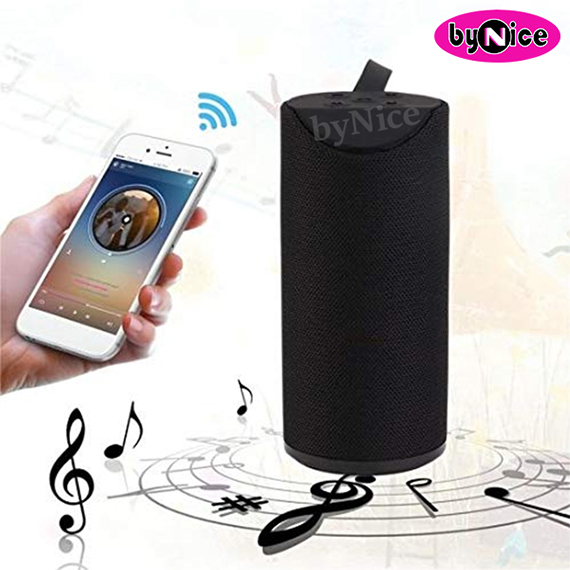 Portable Wireless Speaker TG-113 PU6022