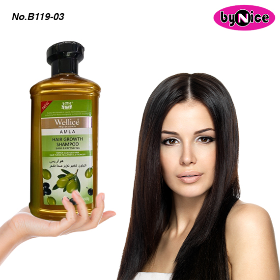 Wellice Amla Hair Growth Shampoo B119-03